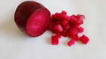 radish red color