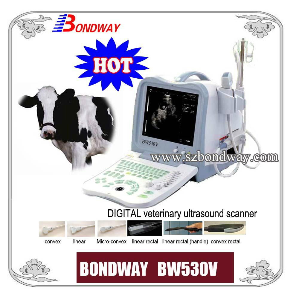 Digital  Veterinary Ultrasound Scanner BW530V