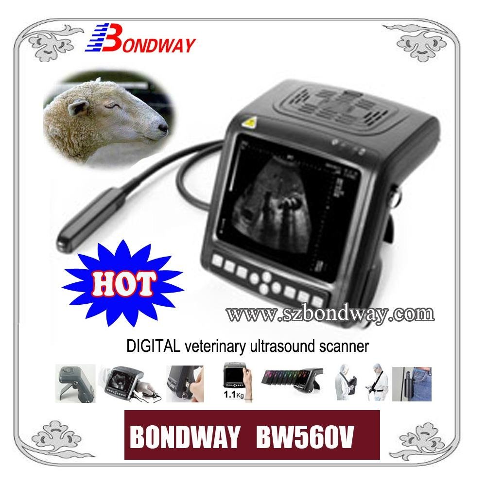 DIGITAL Wrist-top Veterinary Ultrasound Scanner BW560V