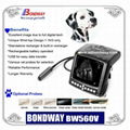 DIGITAL Wrist-top Veterinary Ultrasound Scanner BW560V 2