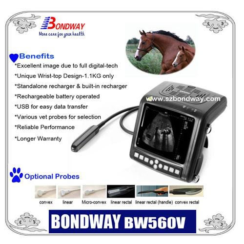 DIGITAL Wrist-top Veterinary Ultrasound Scanner BW560V 3