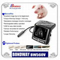 DIGITAL Wrist-top Veterinary Ultrasound Scanner BW560V 4