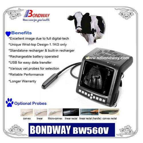 DIGITAL Wrist-top Veterinary Ultrasound Scanner BW560V 5