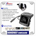 DIGITAL Wrist-top Veterinary Ultrasound Scanner BW560V 5