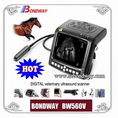 Equine Ultrasound Scanner BW560V