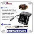 Bovine Ultrasound Scanner BW560V 4