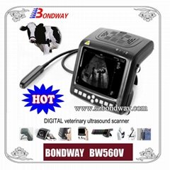 Bovine Ultrasound Scanner BW560V
