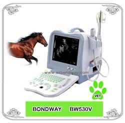 Digital  Veterinary Ultrasound Scanner BW530V 2