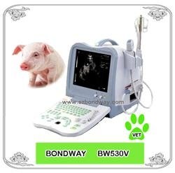 Digital  Veterinary Ultrasound Scanner BW530V 3