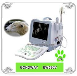 Digital  Veterinary Ultrasound Scanner BW530V 4