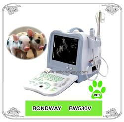 Digital  Veterinary Ultrasound Scanner BW530V 5