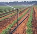 农田灌溉摇臂喷头