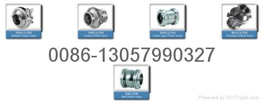 butterfly valve and check valve 2