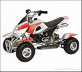 49CC QUAD(A03)