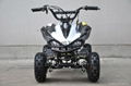 49CC MINI QUAD(A06)