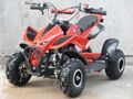 49cc 2stroke Pull Start  ATV  Quad 1