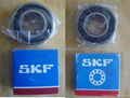 SKF Bearing for glass machinery