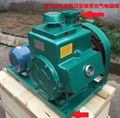 Vacuum pump for glass laminated furnace machine