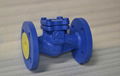 DIN LIFT CHECK VALVE