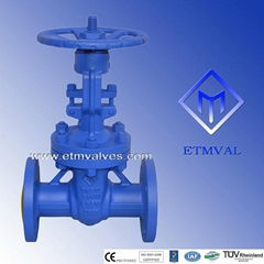 DIN GATE VALVE F7