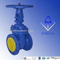 DIN GATE VALVE F4