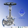 DIN long-bonnet high performance bellows sealed globe valves 3