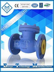 DIN SWING CHECK VALVE