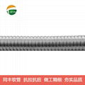 光纖保護不鏽鋼軟管
