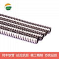 Linear Scale Specific Stainless Steel Flexible Conduit 19