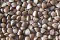 buckwheat kernels