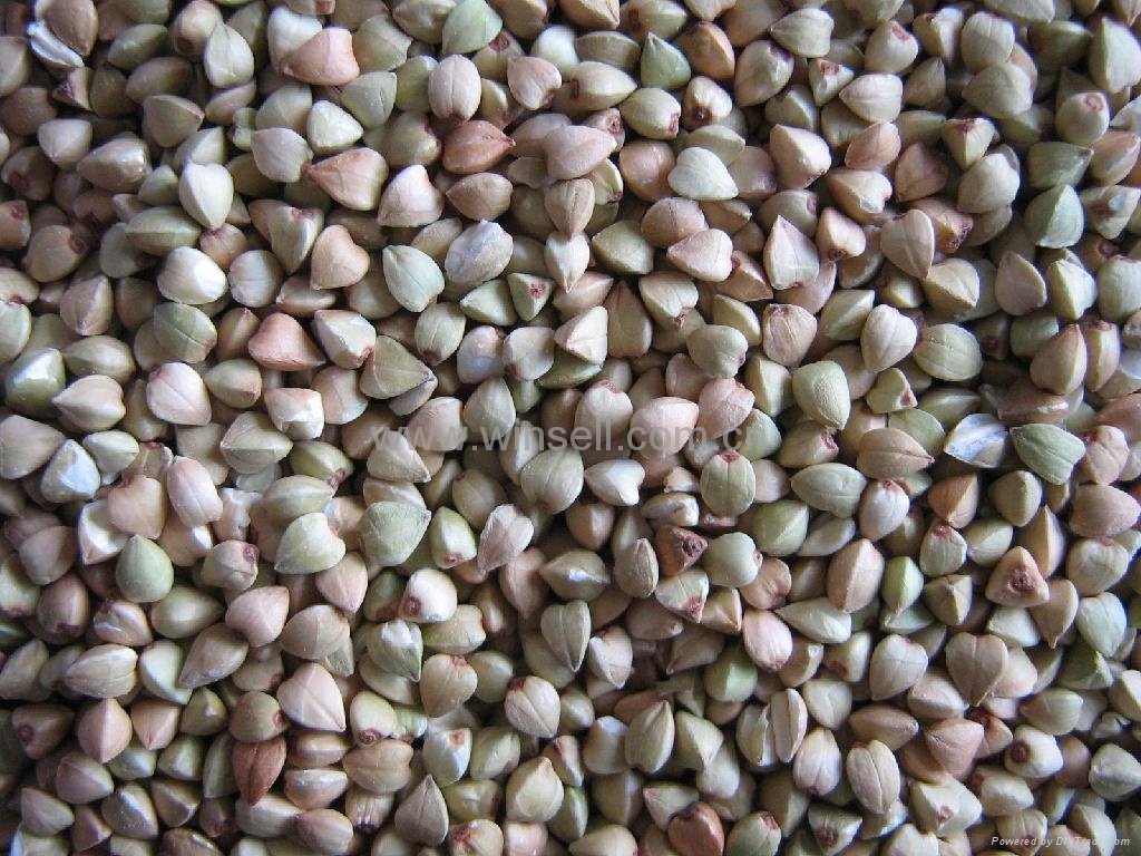 buckwheat kernels 2