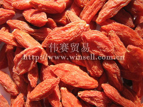 Chinese Wolfberry Fruit, Goji berry, Lycium Chinese