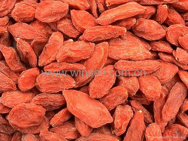 Chinese Wolfberry Fruit, Goji berry, Lycium Chinese 2