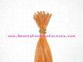 Pre bonded hair,shoe lace tip extension