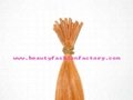 Pre bonded hair,shoe lace tip extension Manufacturer/Supplier