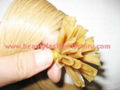 U Tip Hair,Hot Fusion Hair Manufacturer,Supplier 1