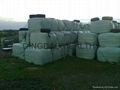 green silage wrap films  3