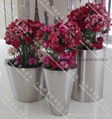 Stainless Steel Flower pot（SZHP-145) 