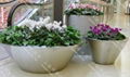 Stainless Steel Flower pot（SZHP-149)