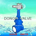 Ceramic discharge gate valve 2