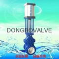 Ceramic discharge gate valve 3