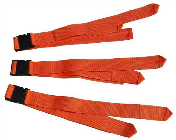 EG-010A Safety belt 2