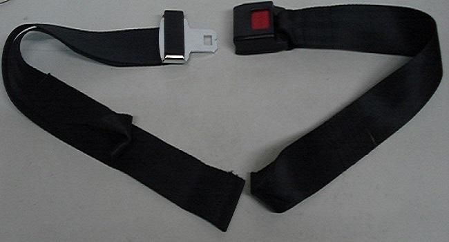 EG-010F Car Seat Strap 