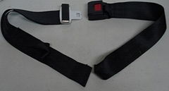 EG-010F Car Seat Strap