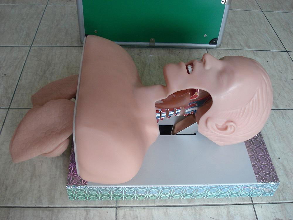 EM-010A  Tracheostomy simulator 2