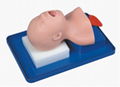 EM-015 Newborn Intubation Manikin 1