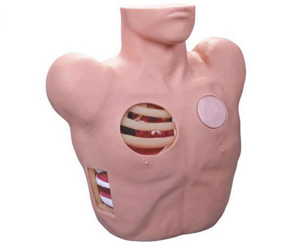 EM-017 Chest Drain Manikin