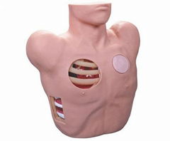 EM-017 Chest Drain Manikin