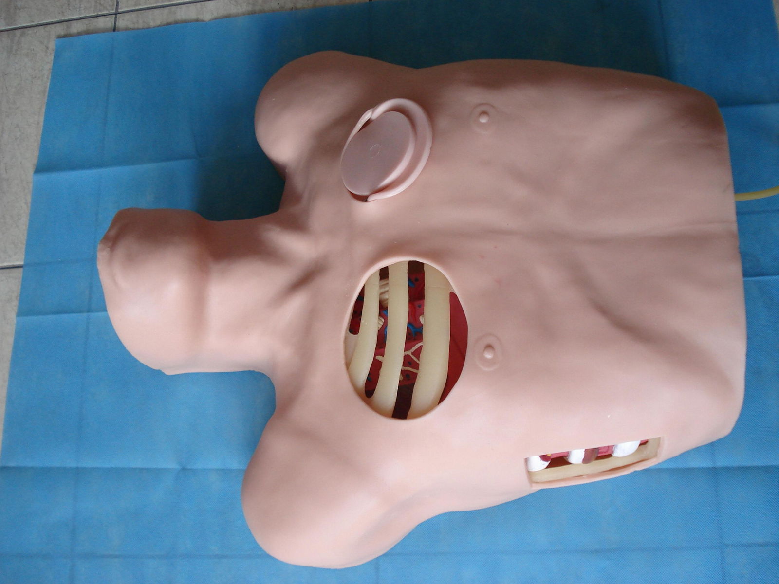 EM-017 Chest Drain Manikin 2