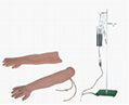 EM-018  高級手臂靜脈穿刺及肌肉注射訓練模型